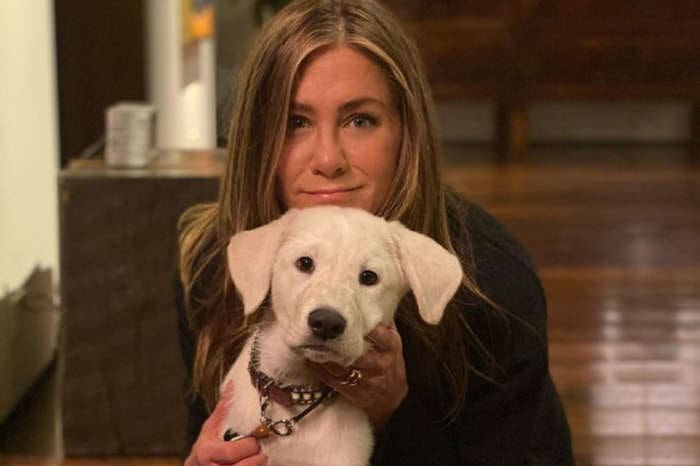 Jennifer Aniston Under Fire For Pandemic Ornament As People Want The Actress Canceled