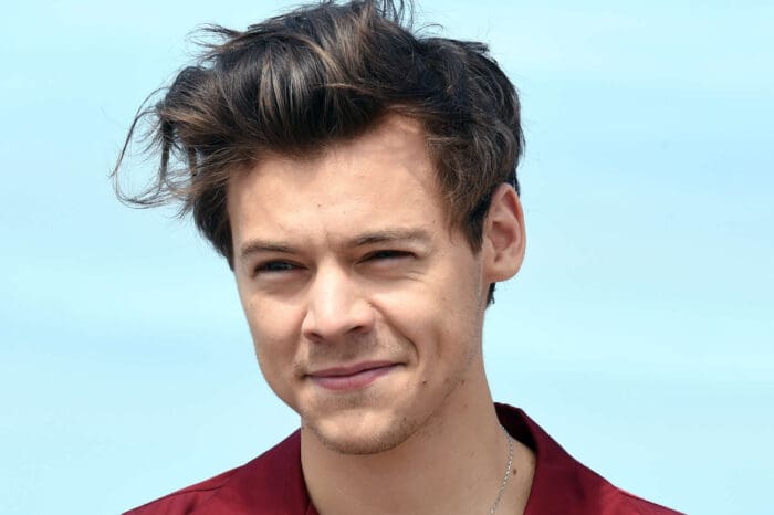 Fans Speculate That Harry Styles Was The Reason Jason Sudekis And Olivia Wilde Split Up