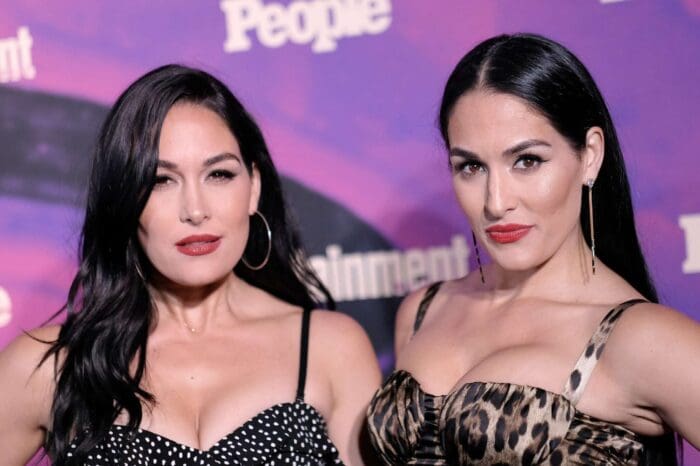 The Bella Twins Reveal They Eventually Want To Return To WWE