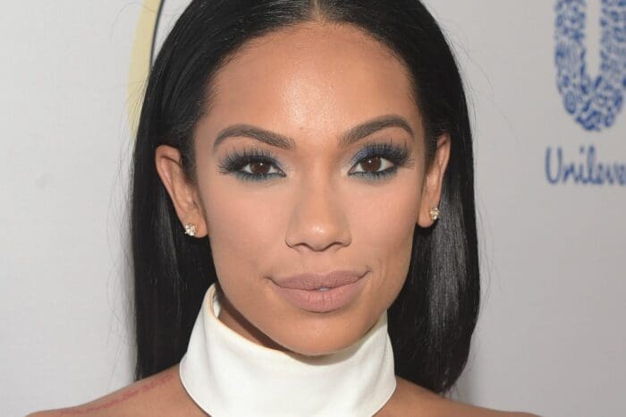 Erica Mena Leaves Nothing To The Imagination While Showing Off Her Curves In This See-Through Dress