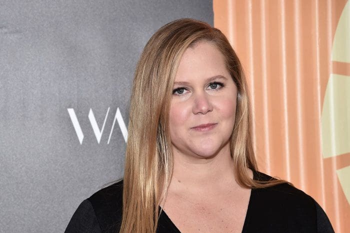 Amy Schumer Opens Up About Adding To The Family After Struggling With IVF