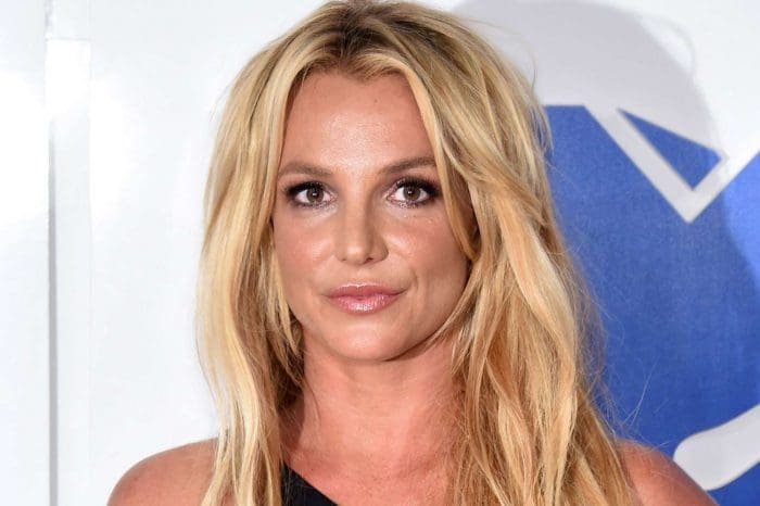 Britney Spears Shouts Out The Fans Concerned About Her!