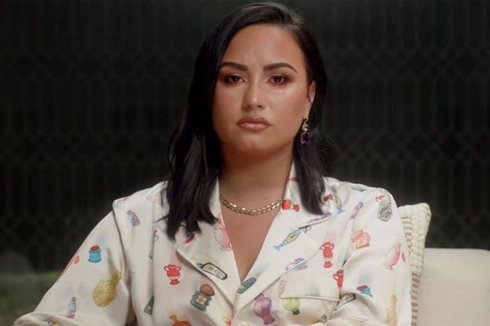 Demi Lovato Apologizes After Backlash Over Her 'Bullying A Small Business!'