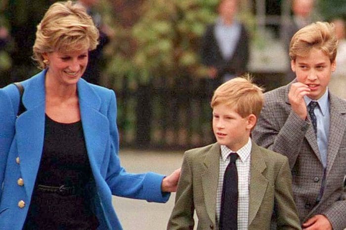 Princes Harry And William’s Rift - Royal Expert Says Princess Diana Would Be ‘Extremely Disappointed!’