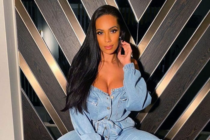 Erica Mena's Fans Offer Her Support Amidst Safaree Breakup