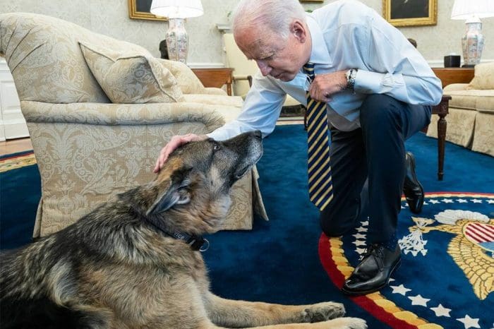 Joe Biden And Jill Biden Pay Heartwarming Tribute To Their Dog Champ After He Dies At Age 13