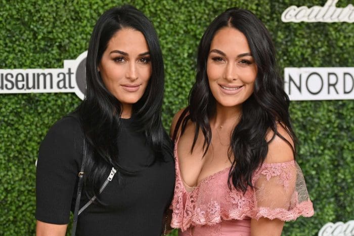 Nikki And Brie Bella Open Up About Their Fitness Almost A Year After Giving Birth!