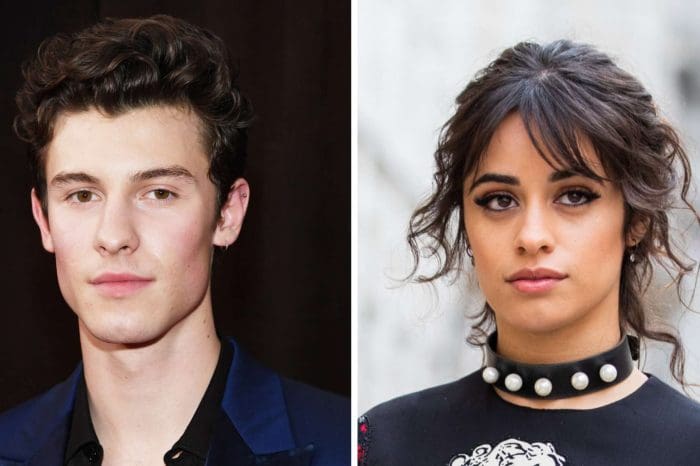 Shawn Mendes Admits He Raised His Voice At Camila Cabello While Having A Fight - Details!