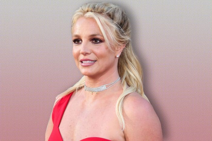 Britney Spears Insults Fans Theorizing Topless Pic She Posted Is Not Of Her But That Only Has Them More Convinced!