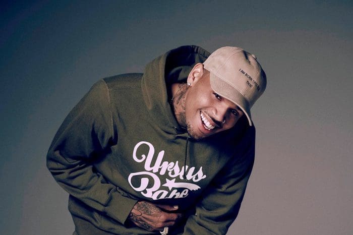 Chris Brown Is Sued By Housekeeper After She Was Allegedly Mauled By Her Dog