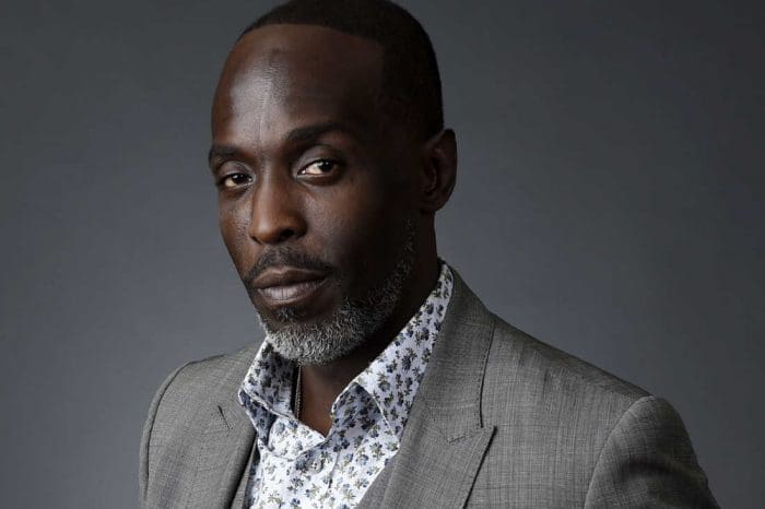 Michael K. Williams' Death: New Data Was Just Revealed