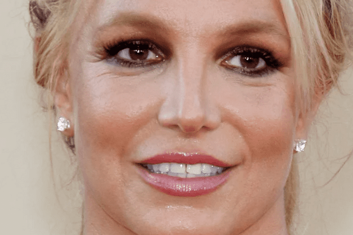 What do Britney Spears' sons think of her pregnancy
