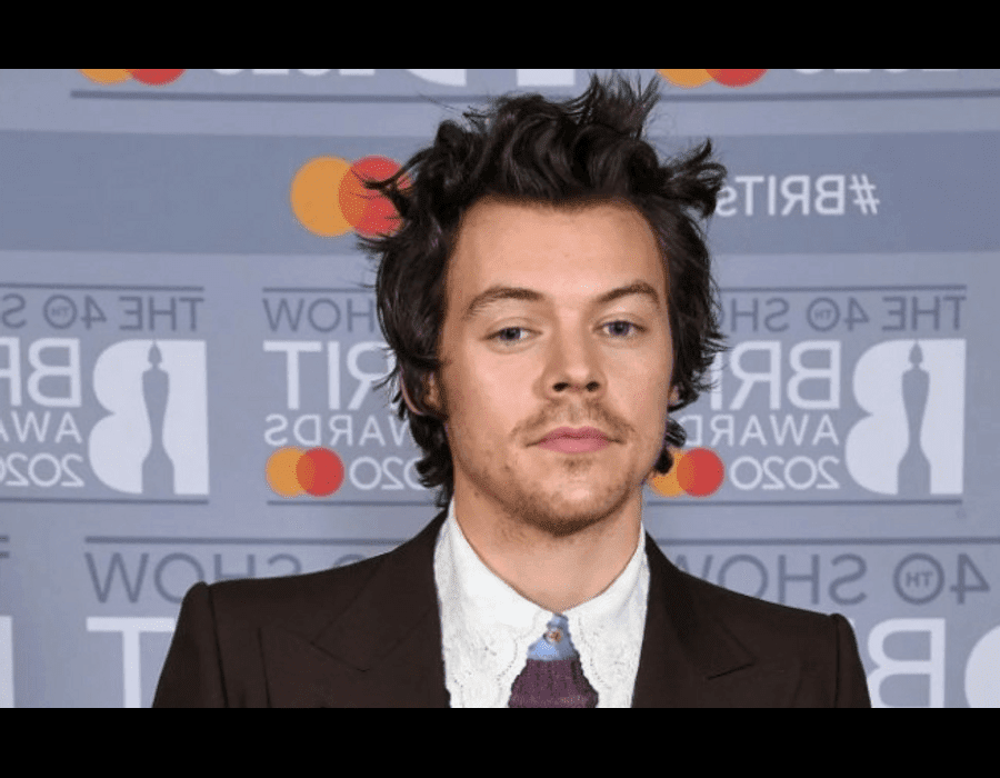 'This is my personal experience': Harry Styles explained why he does not want to talk about his orientation
