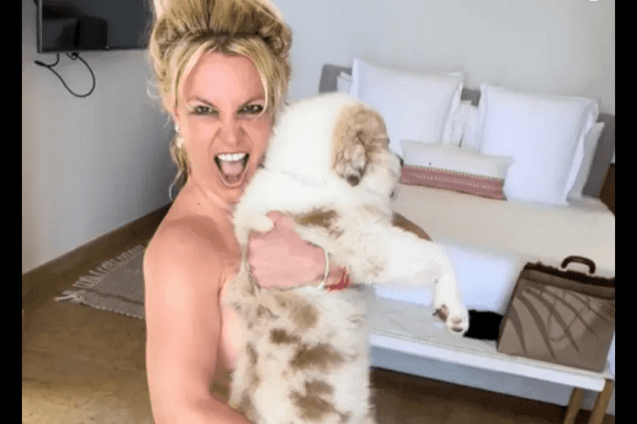 Pregnant Britney Spears beams with happiness in a nude photoshoot with her puppy