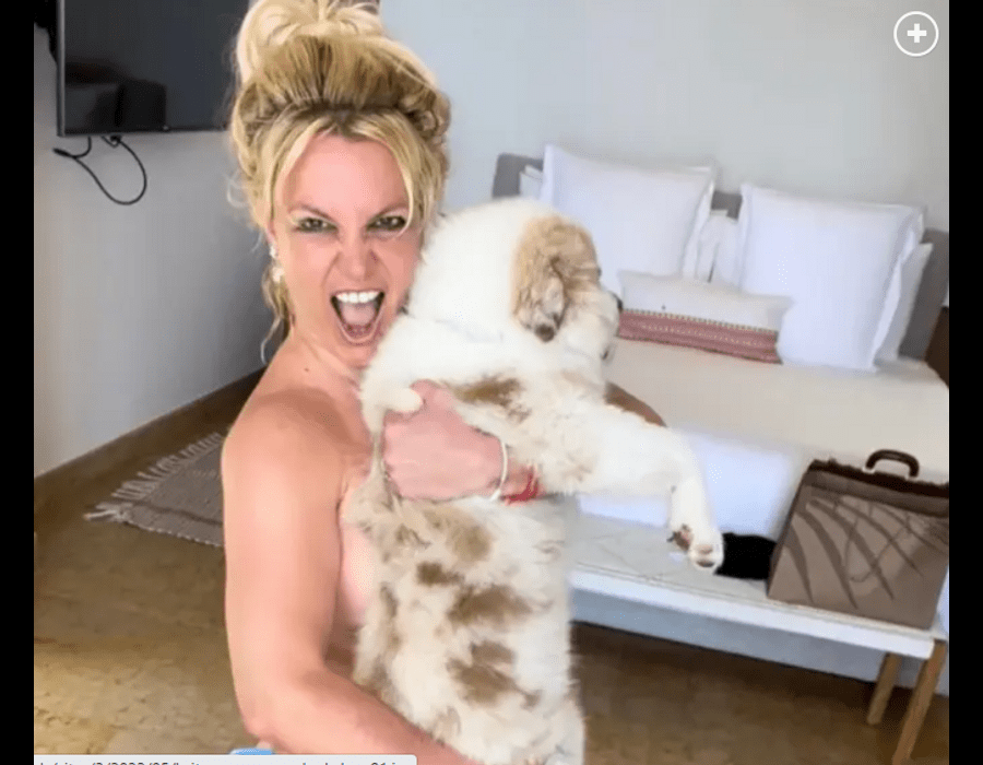 Pregnant Britney Spears beams with happiness in a nude photoshoot with her puppy