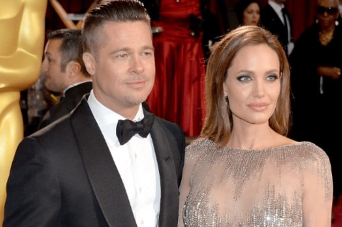 Brad Pitt blames Angelina Jolie of deliberately damaging the reputation of his wine company Miraval