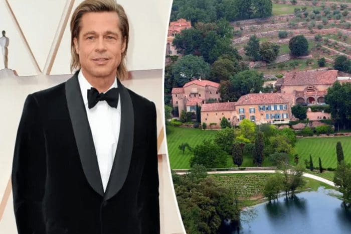 Brad Pitt spent a year scrutinizing for buried treasures in his French estate