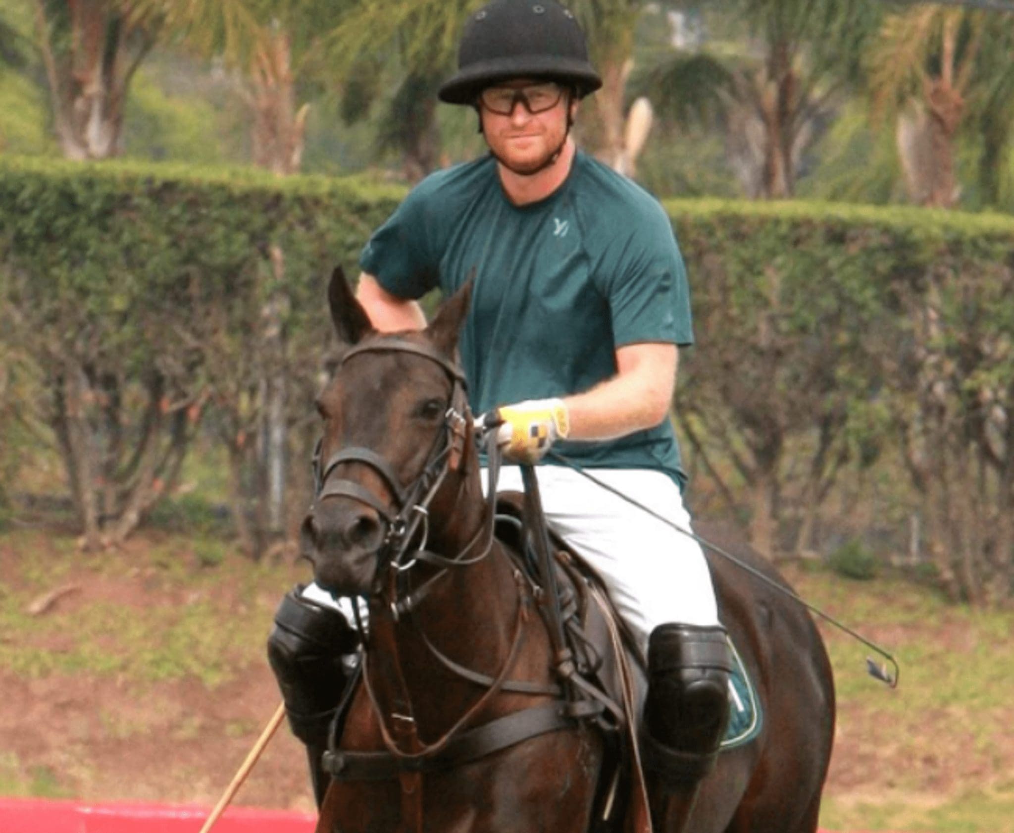 Prince Harry almost died in a fall from his horse during a polo match at a country club in Carpinteria