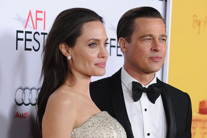 Angelina Jolie And Brad Pitt Divorce Isn't Getting Easier; Issue Of Co-Owned Winery Has Arised