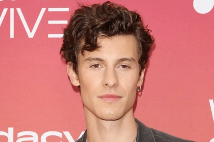 Shawn Mendes has 'paused' his long-awaited world tour and said he's reached a breaking point