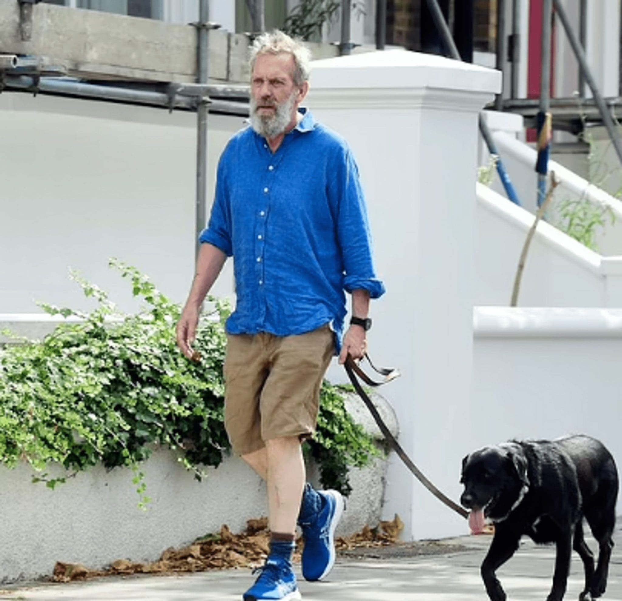 Hugh Laurie, The Star Of House, Walks With Shaggy Beard And Unruly Hair