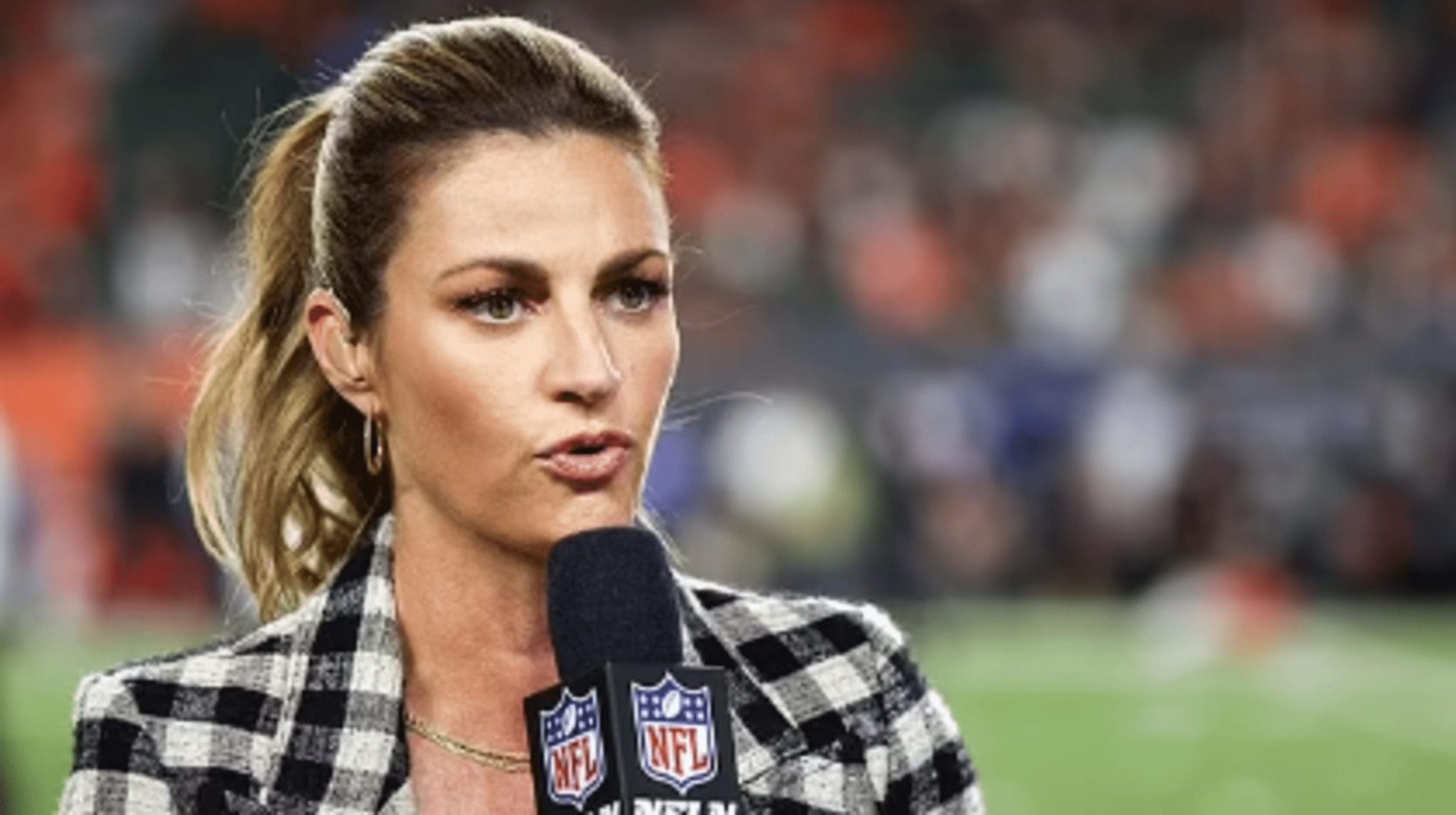 Erin Andrews Claims That Her Driver Dozed Off On The Highway