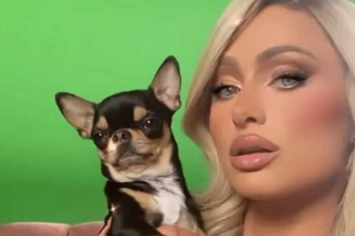 Apparently Paris Hilton's Dog, Diamond Baby, Has Gone Missing
