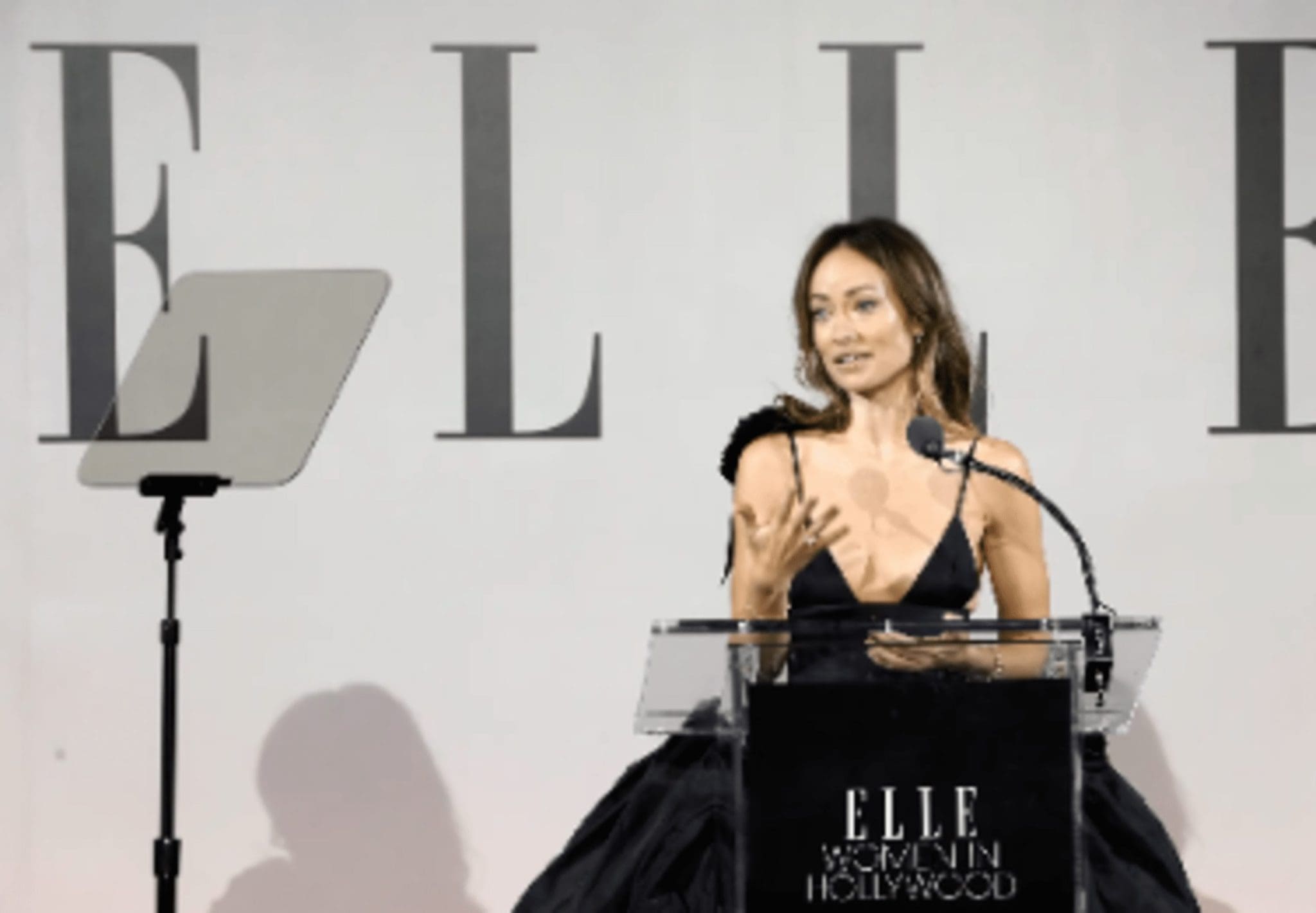 After Her Former Nanny Made Multiple Accusations, Olivia Wilde Said She Was Compelled To Keep Resisting